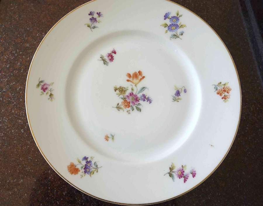 16828 Dinner Plate by Hutschenreuther-1