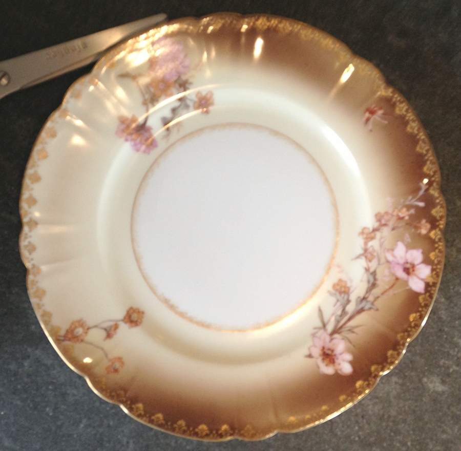 H4738 Dinner Plate by Haviland-1