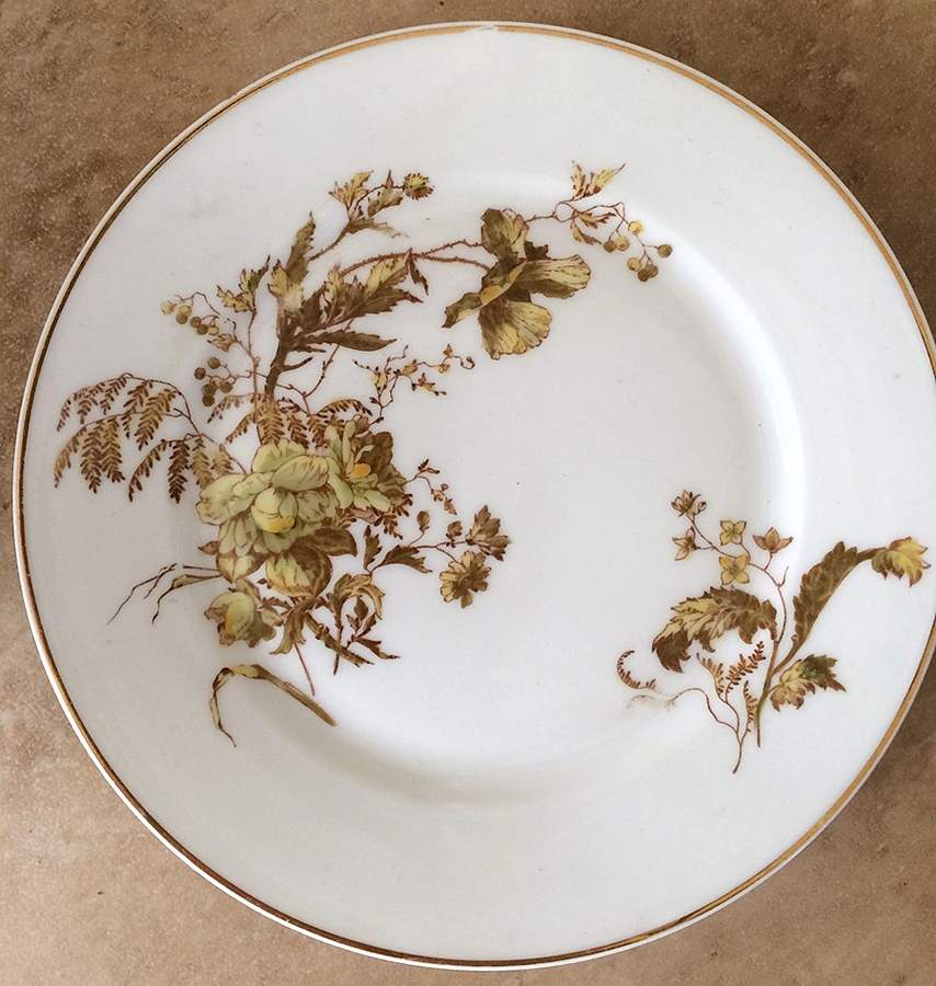 Schleiger 77-23 Dinner Plate by Haviland-1