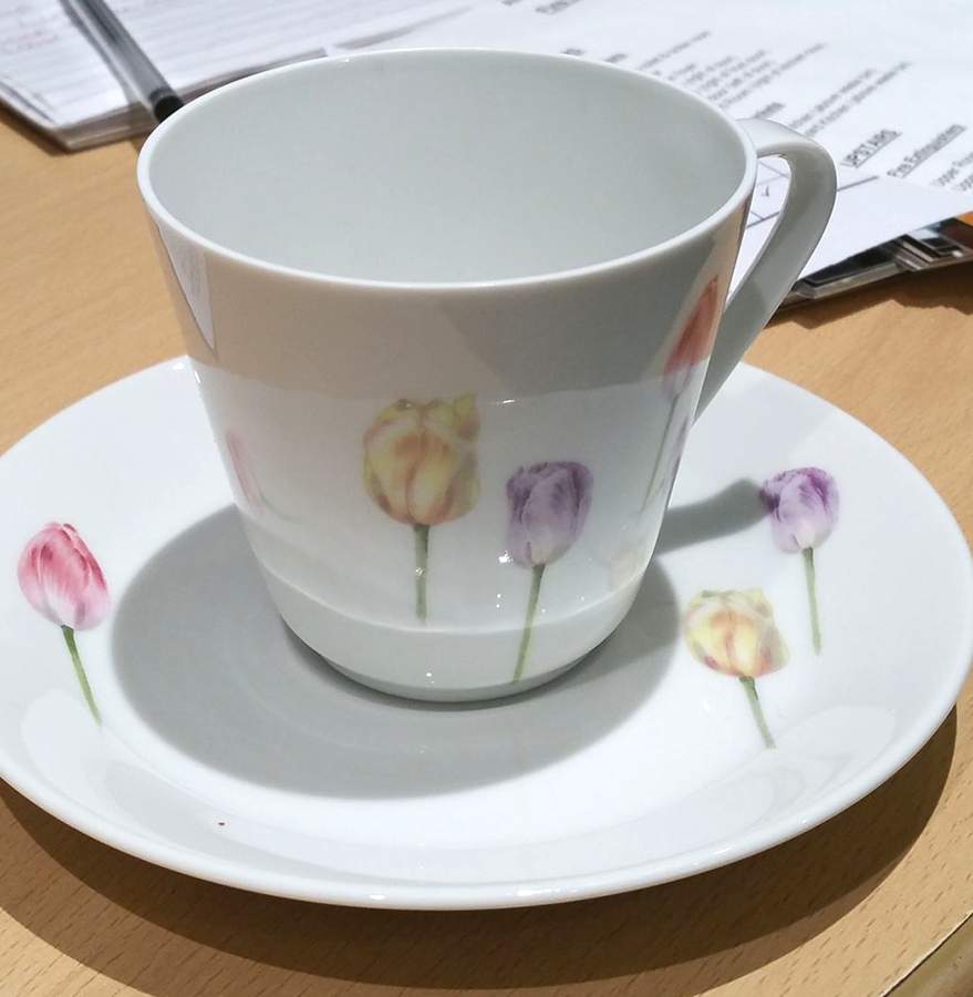 HUT2216 Flat Cup & Saucer Set by Hutschenreuther-1
