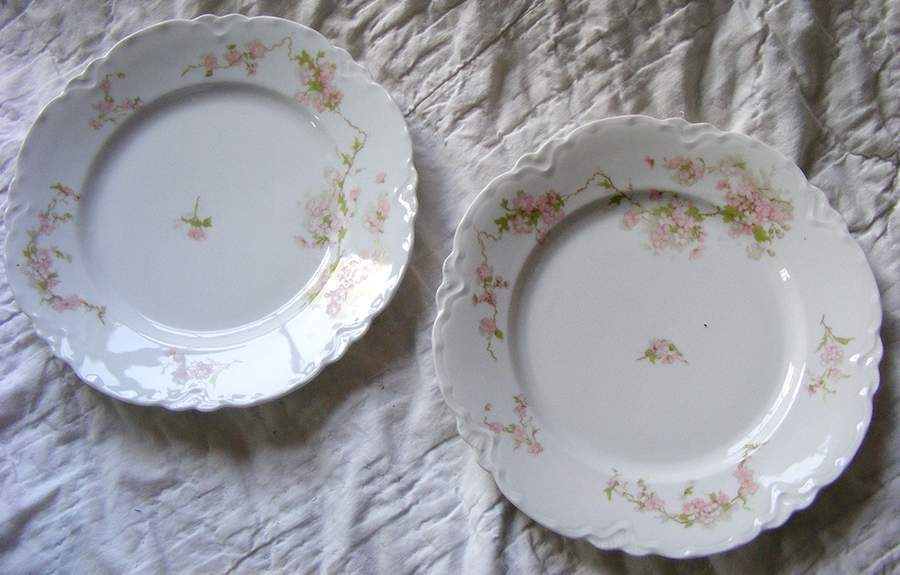 ALT882 Luncheon Plate by Altrohlau-1