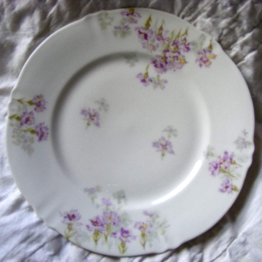 Schleiger138-3 Salad Plate by Haviland-1