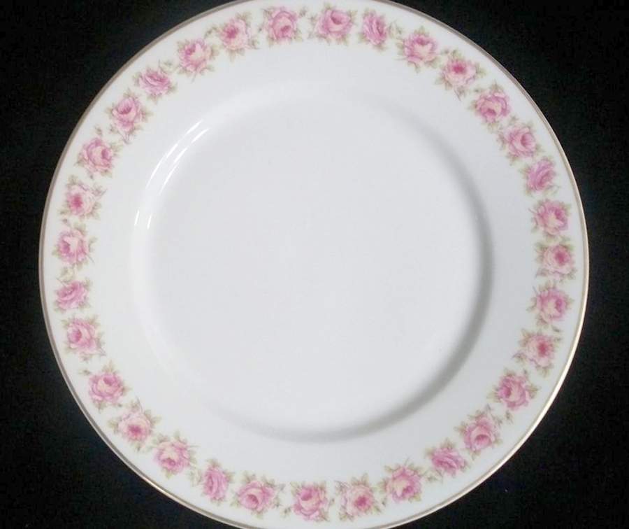 Schleiger 1099-3 Dinner Plate by Haviland-1