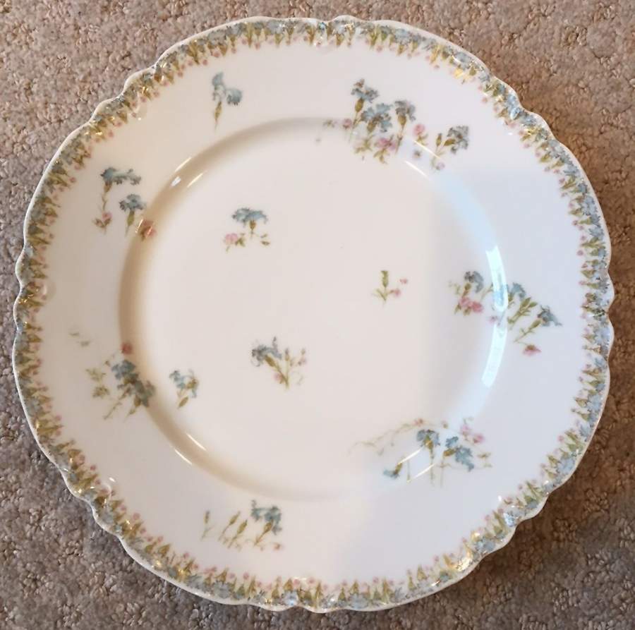 SCH436-4 Dinner Plate by Haviland-1