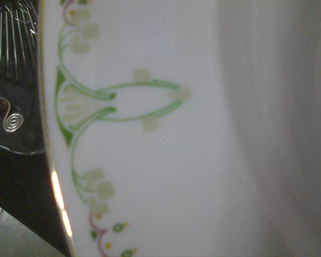 HUT3352 Dinner Plate by Hutschenreuther-1