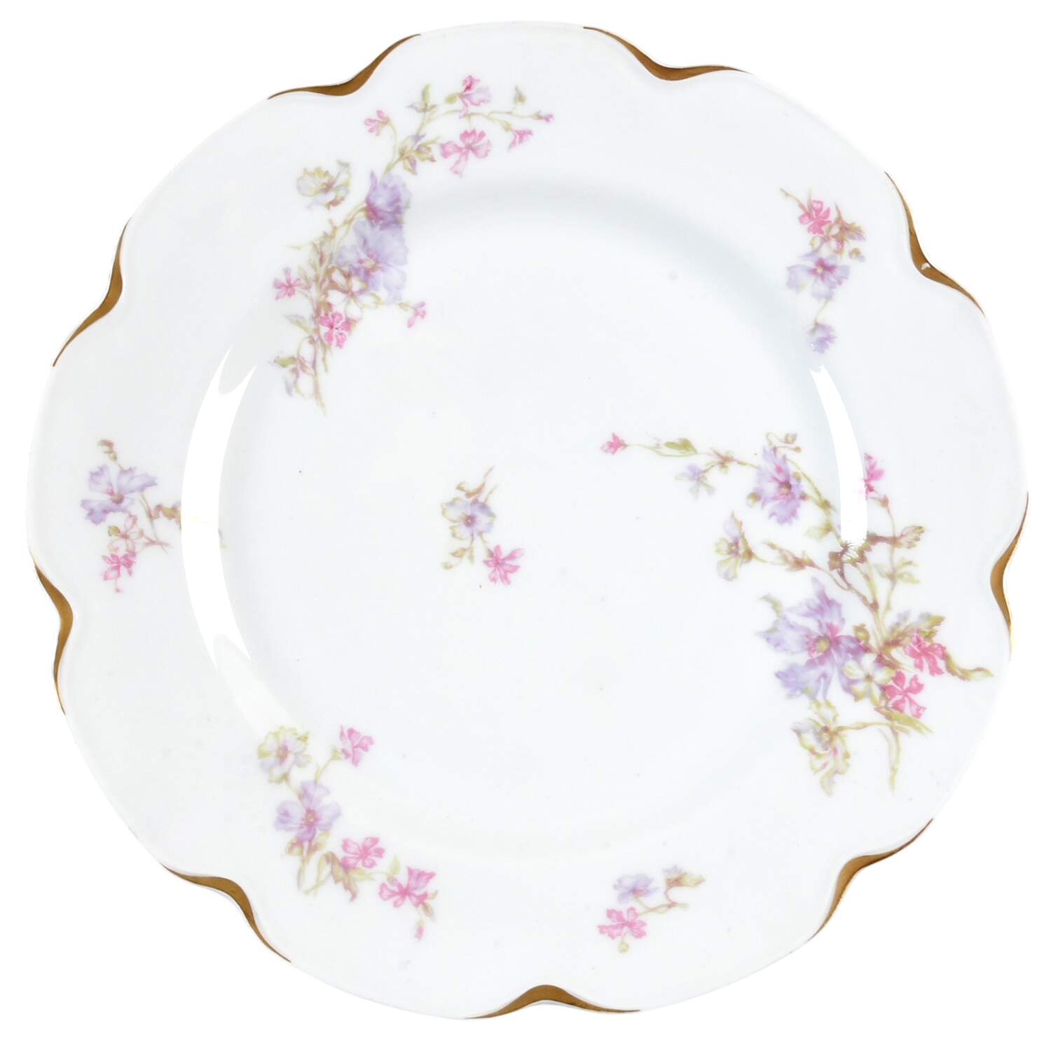 Sch36-3 Dinner Plate by Haviland-1