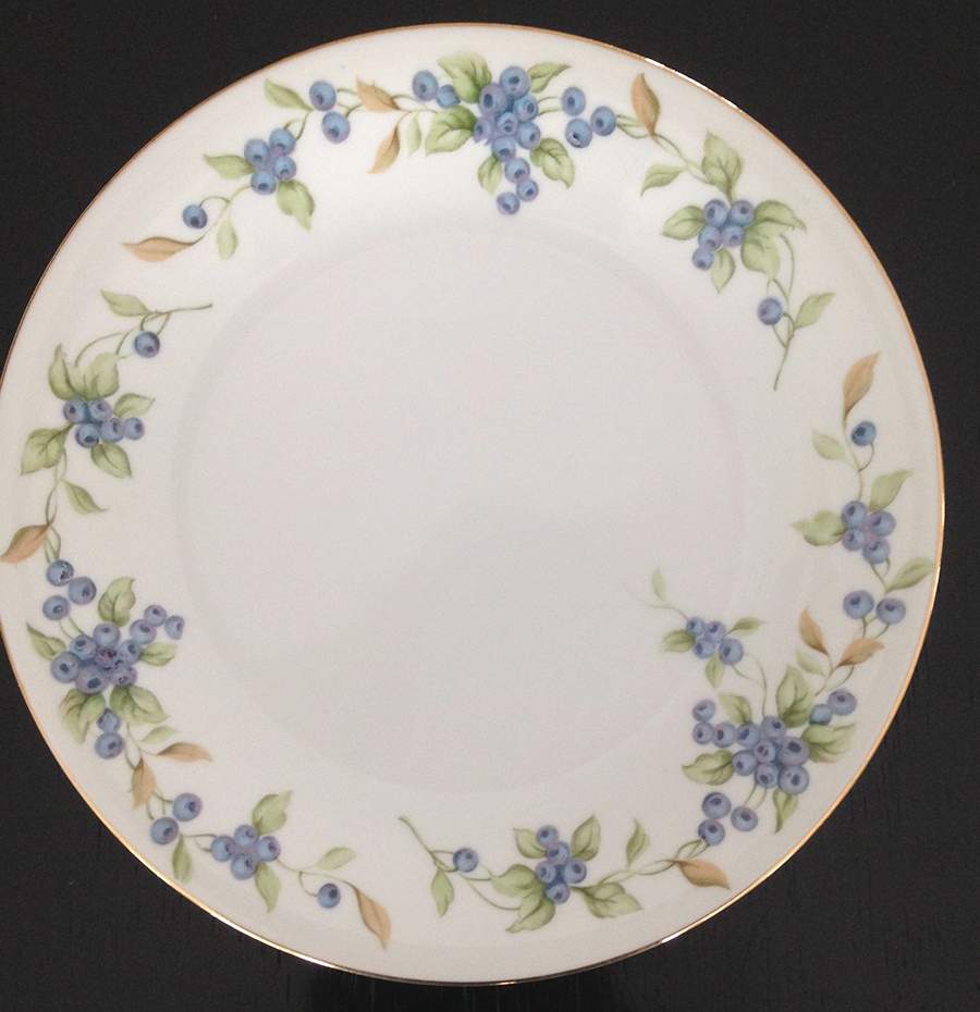 HIN39 Dinner Plate by The Hinode-1