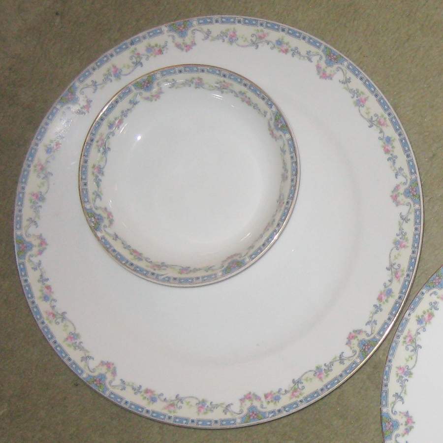H5008 Dinner Plate by Haviland-1