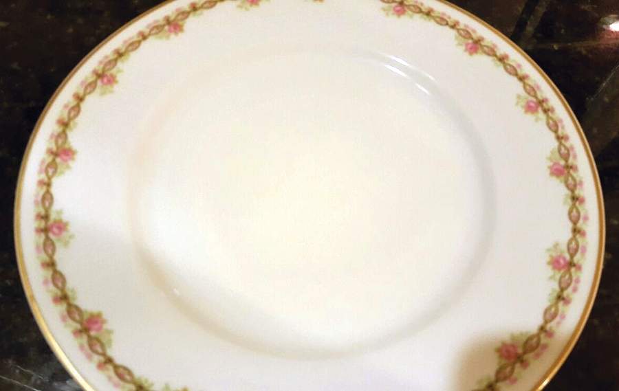 H5016 Dinner Plate by Haviland-1