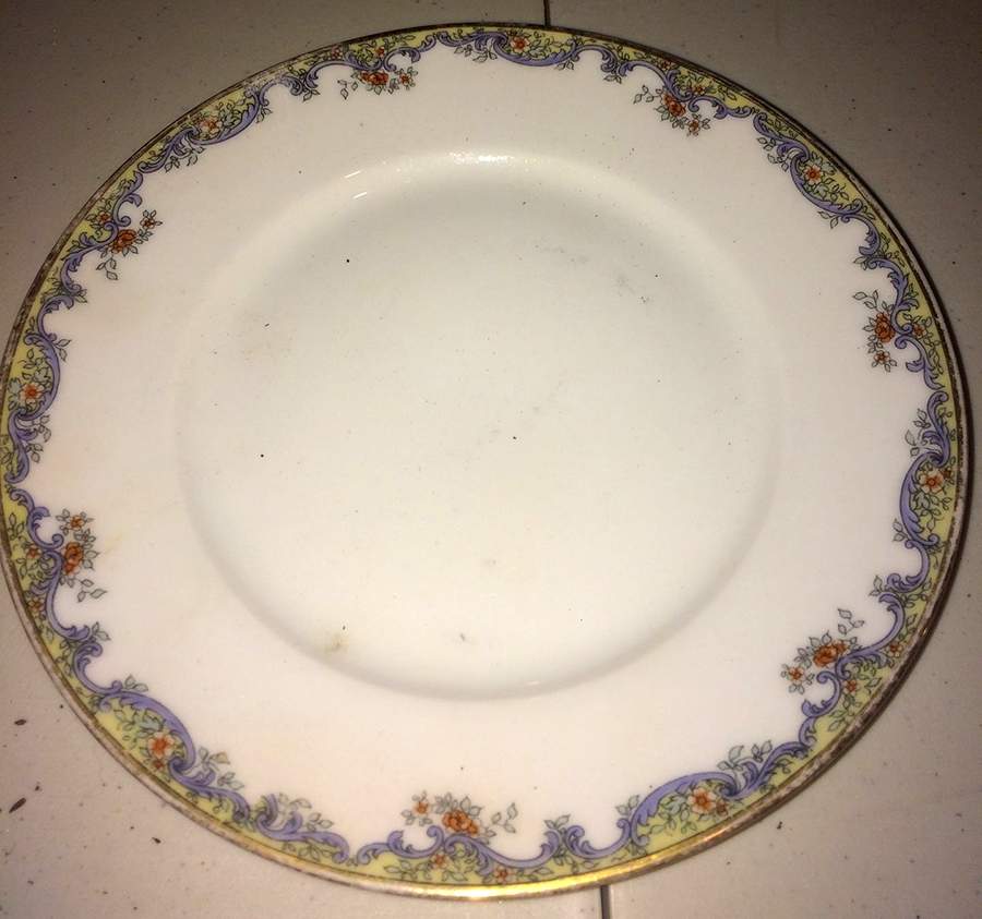 HUT3035 Dinner Plate by Hutschenreuther-1