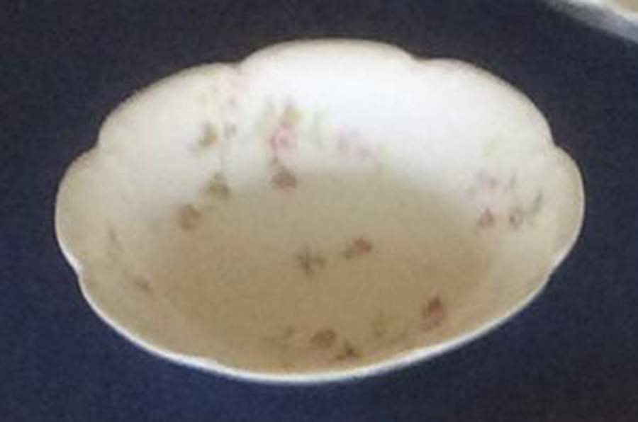 H5017 Fruit/Dessert (Sauce) Bowl by Haviland-1