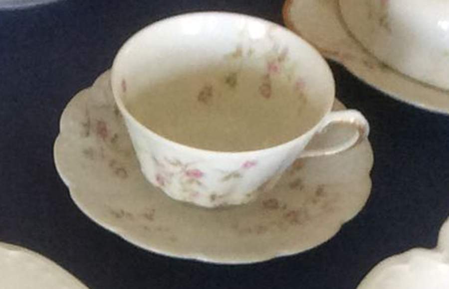 H5017 Flat Cup & Saucer Set by Haviland-1