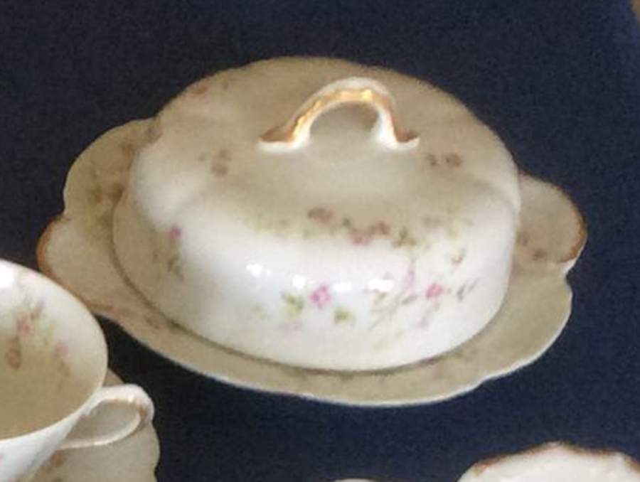 H5017 Round Covered Butter by Haviland-1