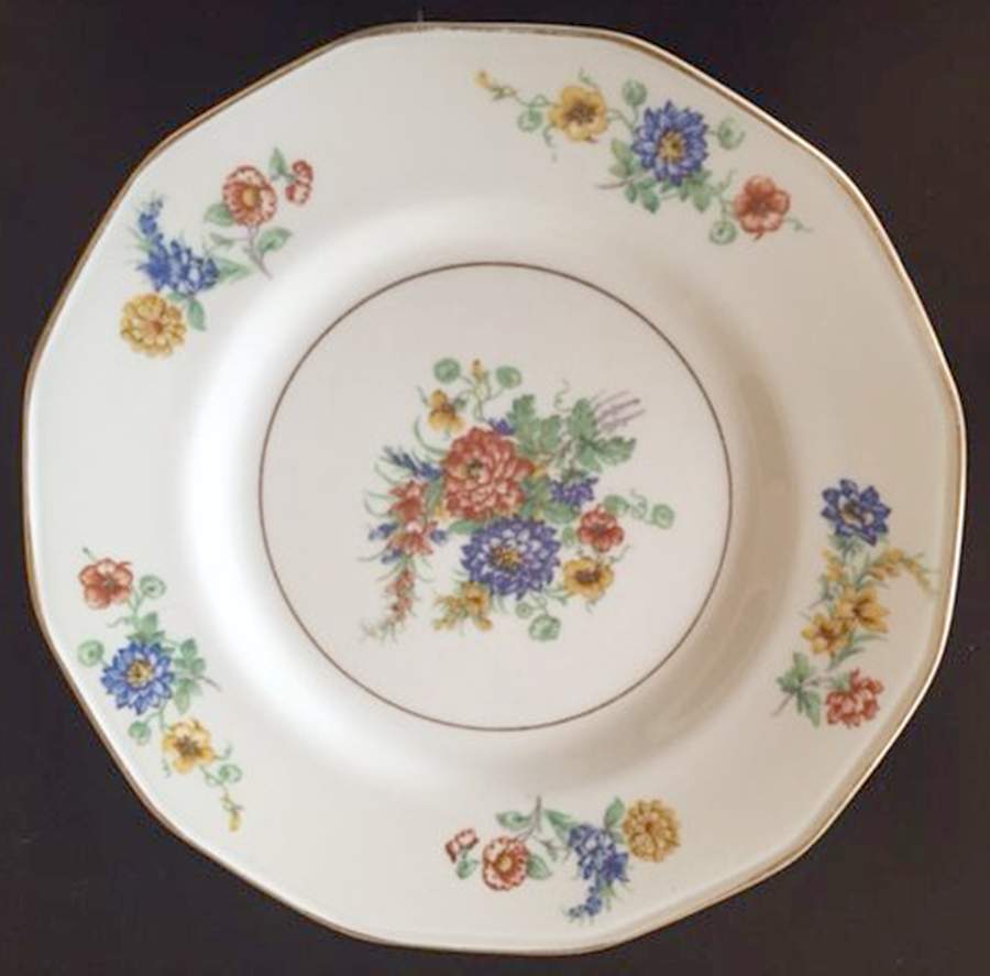 H5018 Dinner Plate by Haviland-1