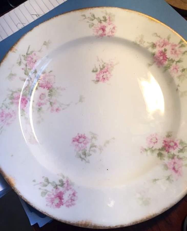 H5019 Dinner Plate by Haviland-1