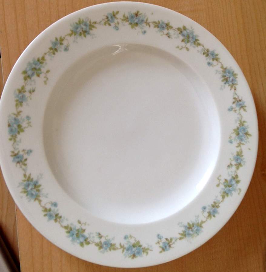 Schleiger 350-10 Dinner Plate by Haviland-1