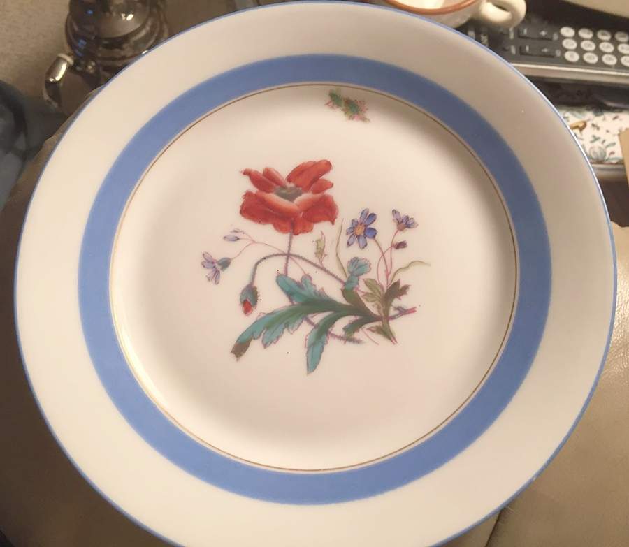 H5022 Dinner Plate by Haviland-1