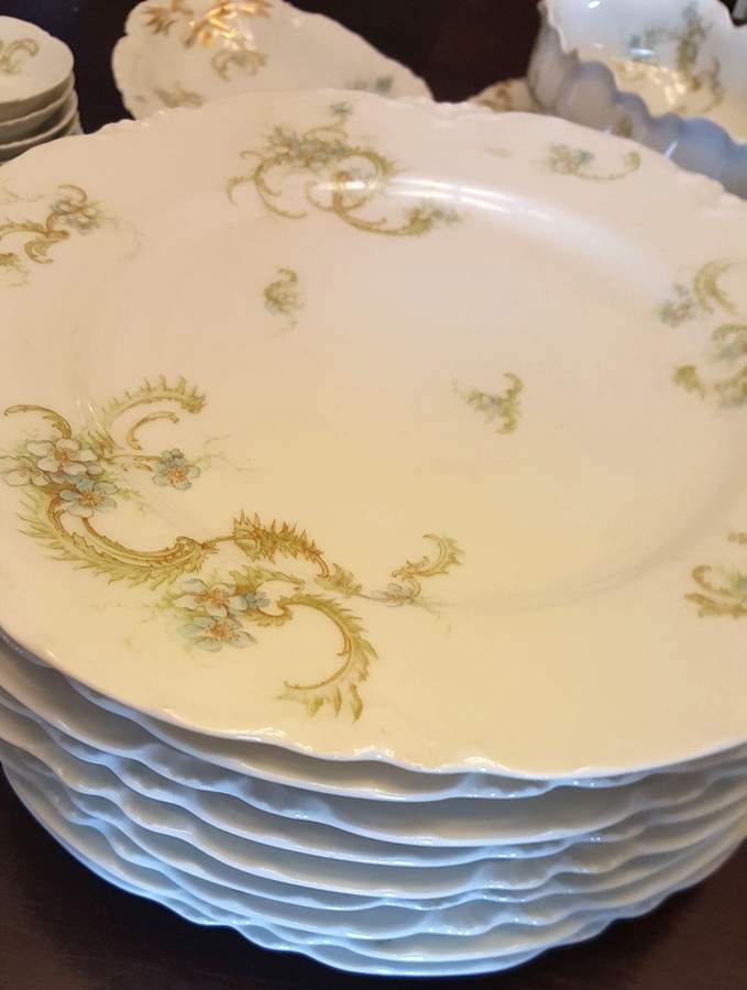 Schleiger 910-5 Dinner Plate by Haviland-1