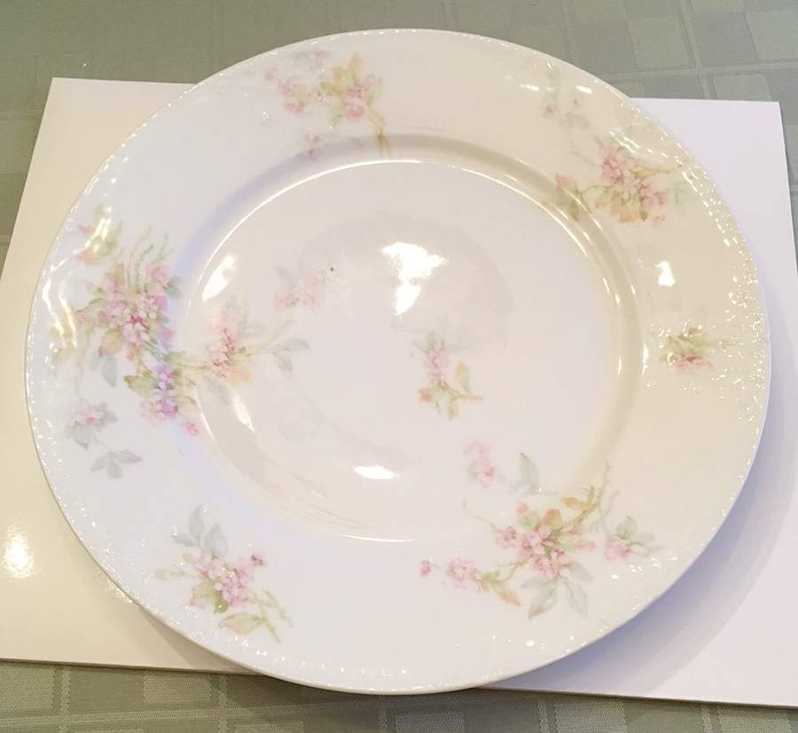 H5029 Dinner Plate by Haviland-1
