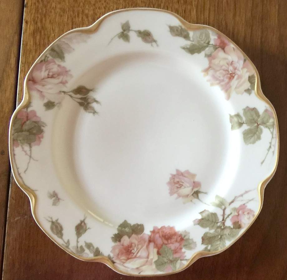 H5035 Dinner Plate by Haviland-1