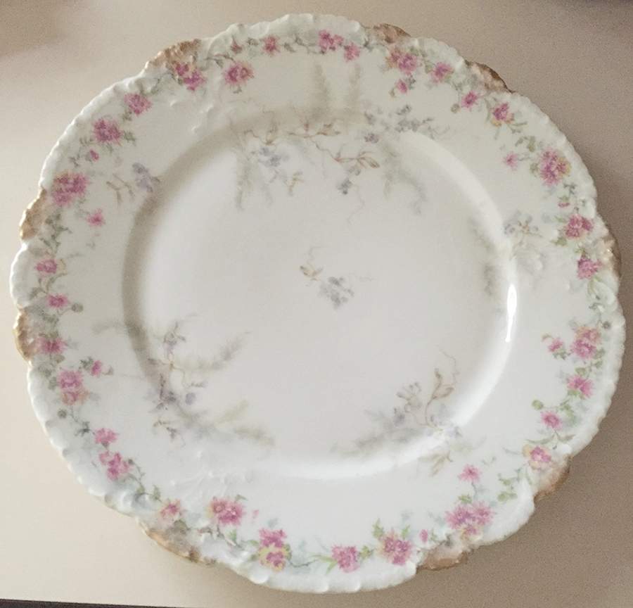 H5037 Dinner Plate by Haviland-1