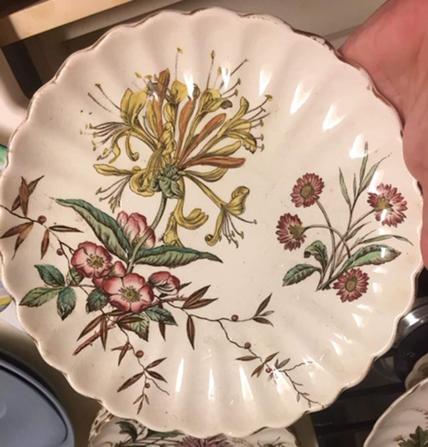 Wild Flowers Salad Plate by Sampson Hancock & Sons-1