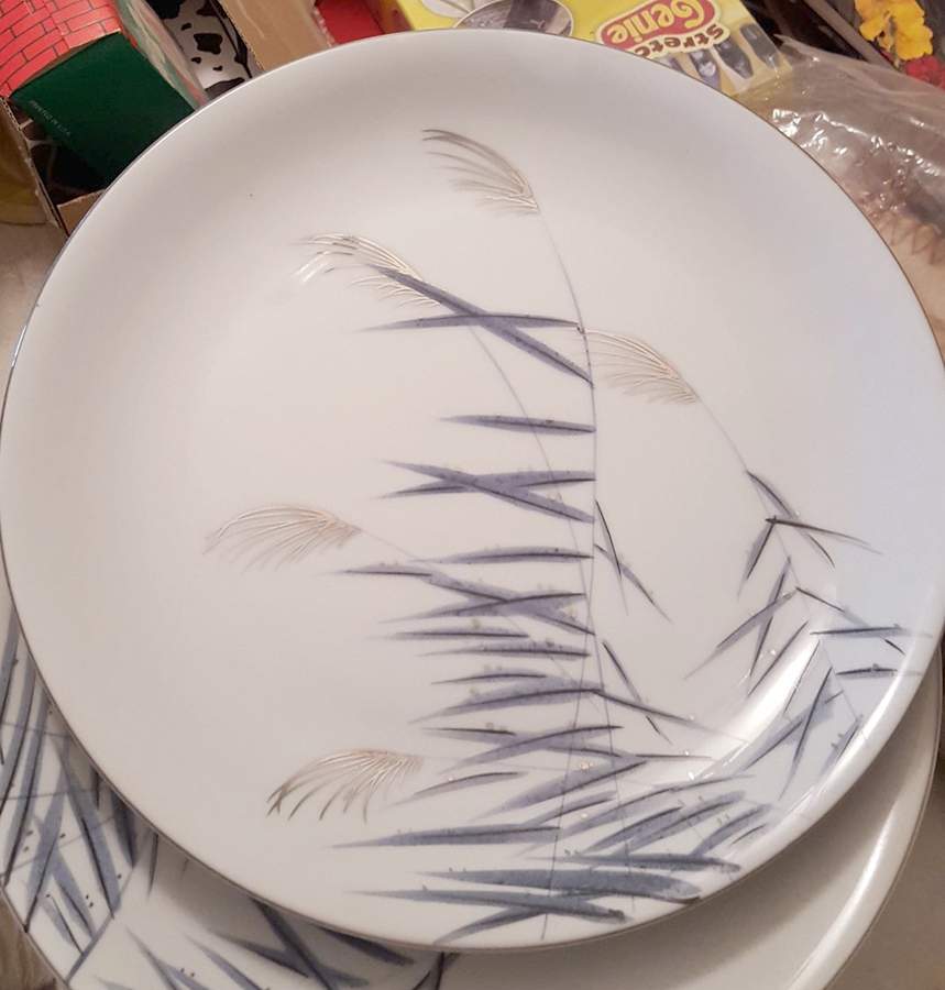 HYA48 Dinner Plate by Hayasi-1