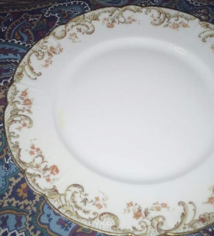 H5038 Dinner Plate by Haviland-1