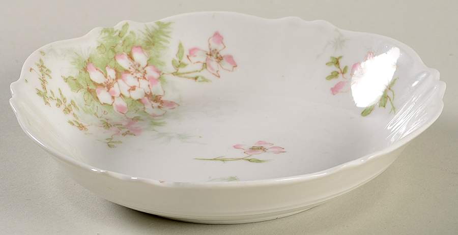 Schleiger 146-15 Fruit/Dessert (Sauce) Bowl by Haviland-1