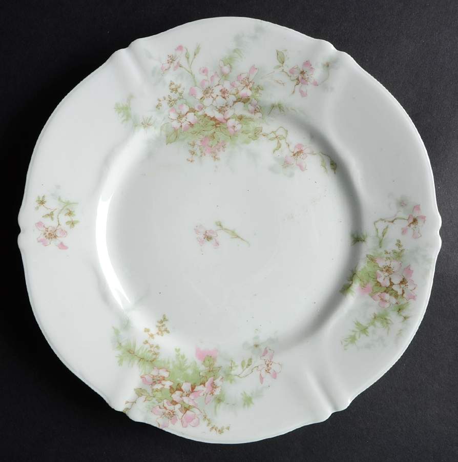 Schleiger 146-15 Salad Plate by Haviland-1