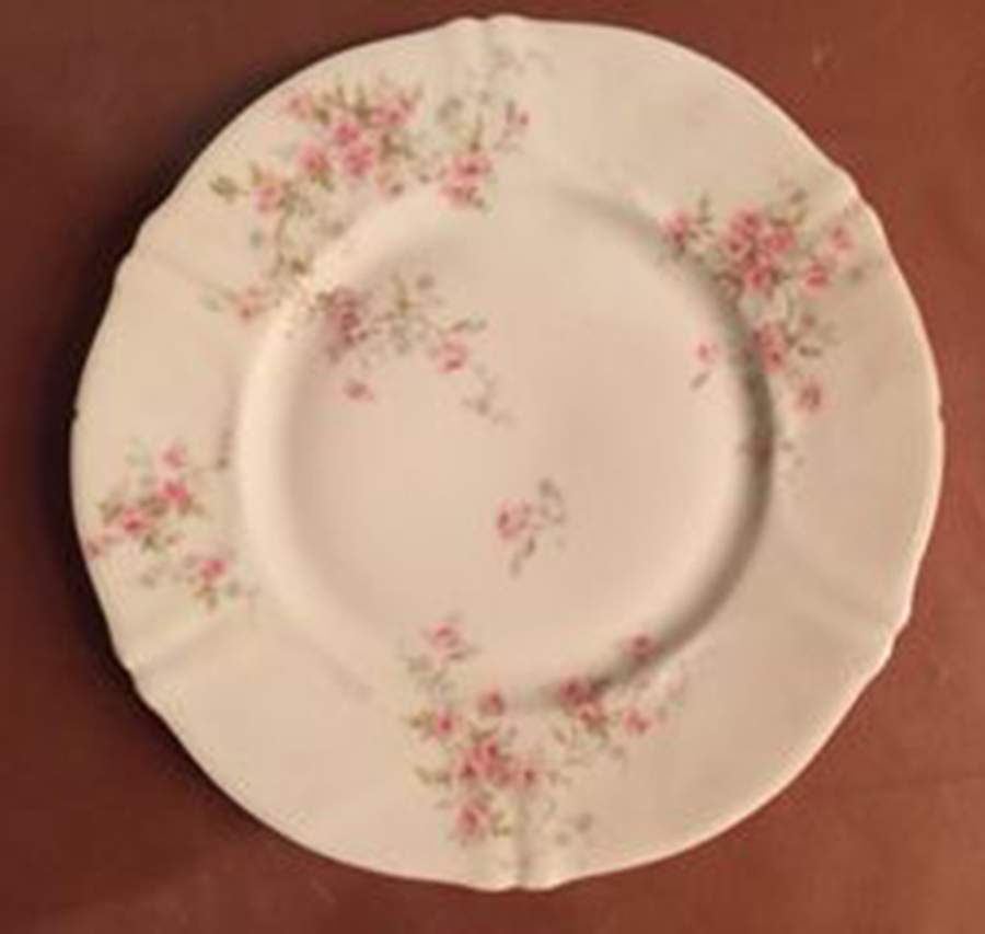Schleiger 150-31 Dinner Plate by Haviland-1