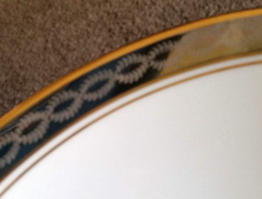 HUT3372 Dinner Plate by Hutschenreuther-1