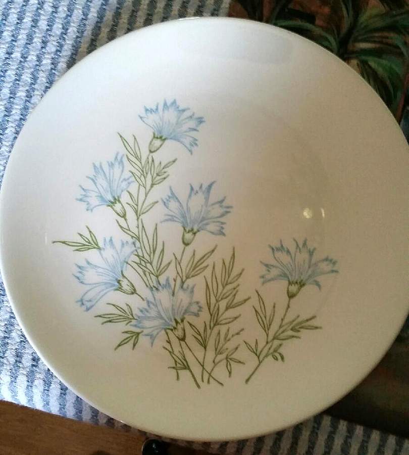 HLC4208 Dinner Plate by Homer Laughlin -1