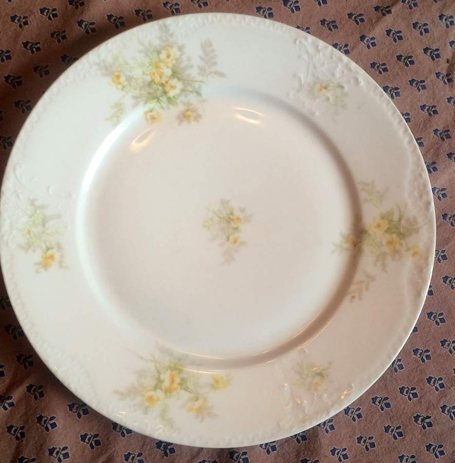 H5049 Dinner Plate by Haviland-1