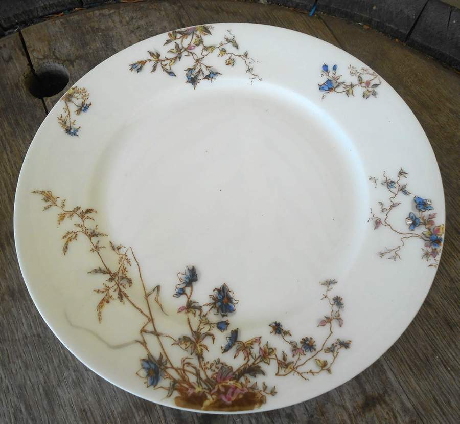 Sch1157-14 Luncheon Plate by Haviland-1