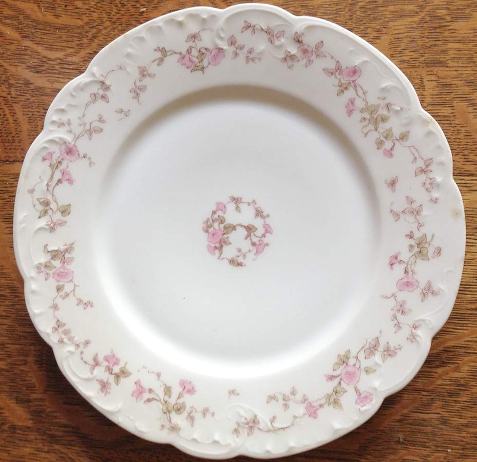 H5054 Dinner Plate by Haviland-1