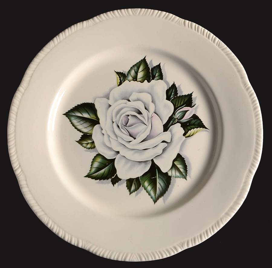 HLC4713 Dinner Plate by Homer Laughlin -1