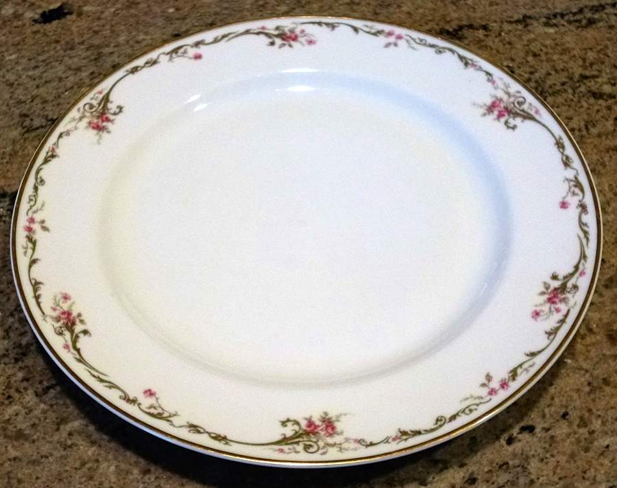 H5068 Dinner Plate by Haviland-1
