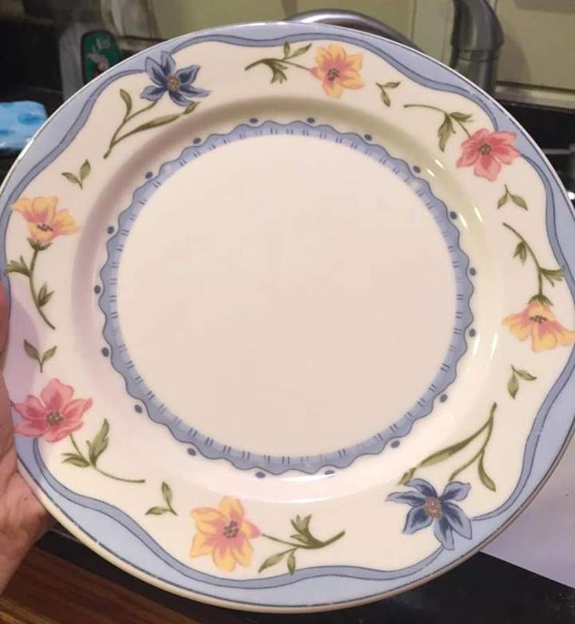 Columbia Dinner Plate by Home-1
