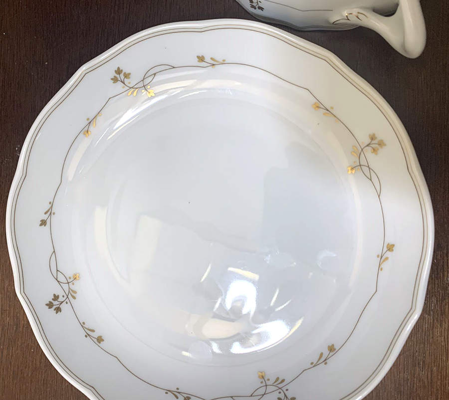 HUT2472 Dinner Plate by Hutschenreuther-1