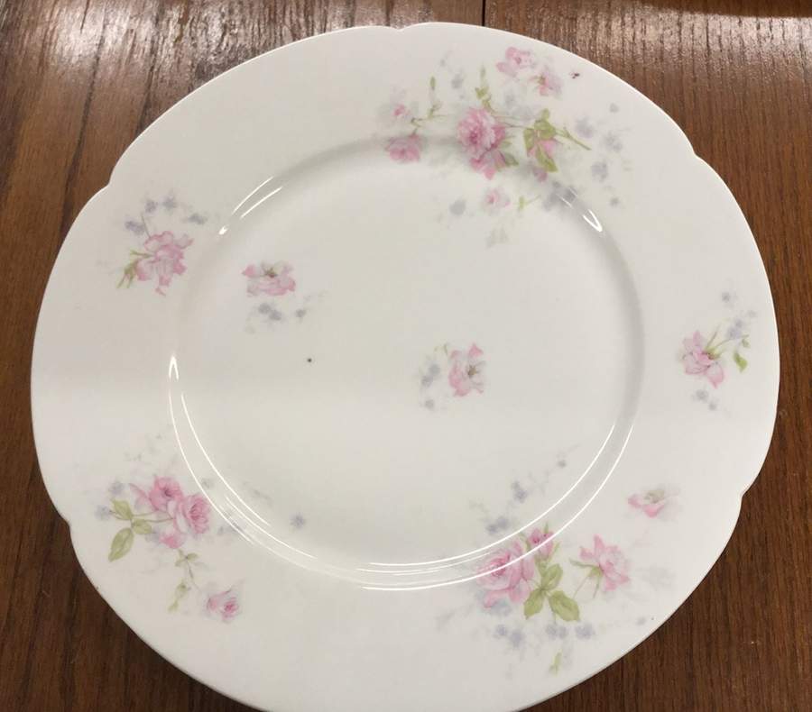 Schleiger 1015-10 Dinner Plate by Haviland-1