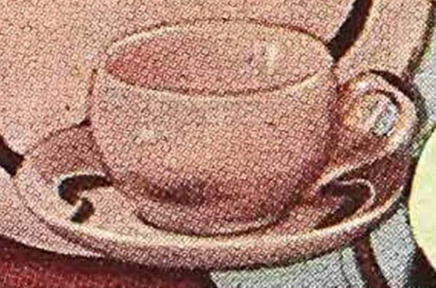 Bikini Valley Rose Flat Cup & Saucer Set by Harmony House China-1