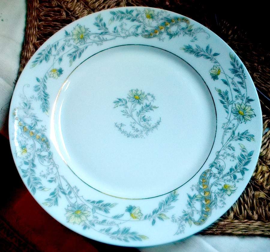Sch486j Dinner Plate by Haviland-1
