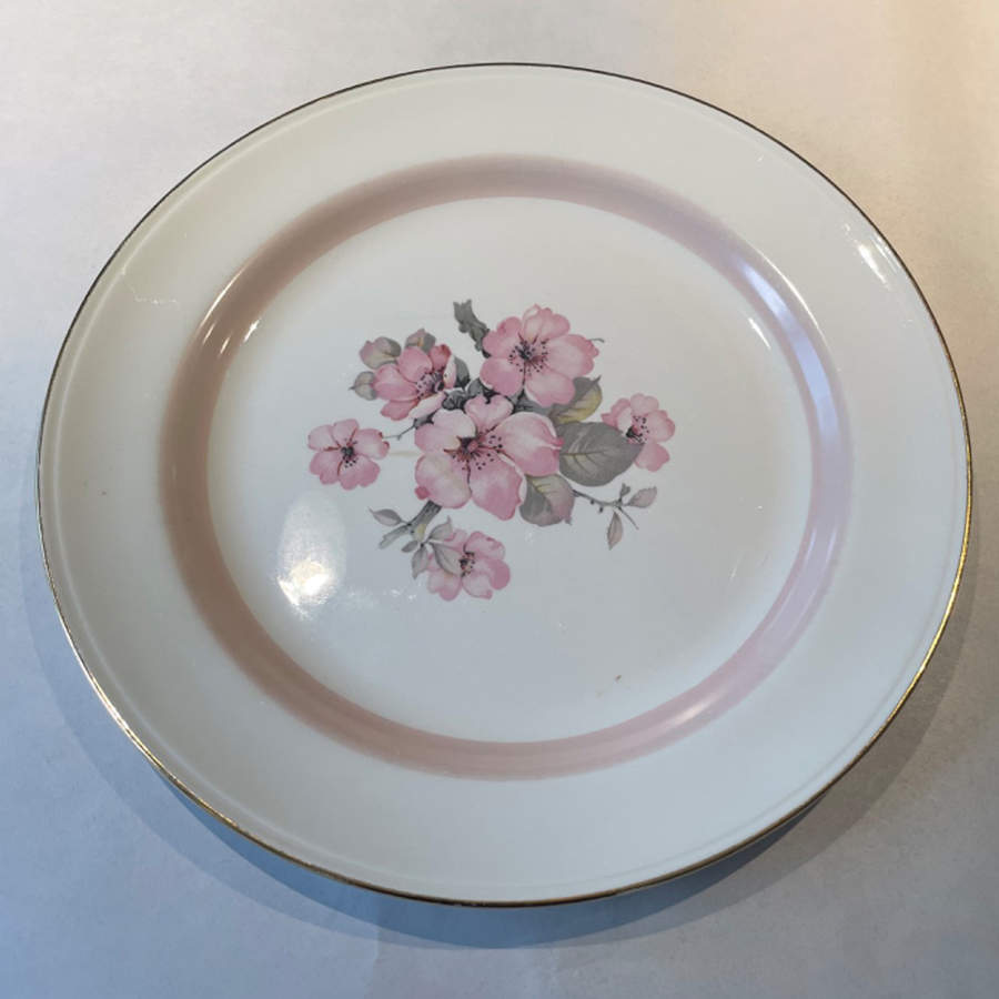 N1817 Dinner Plate by Homer Laughlin -1