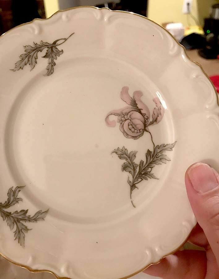 HUT3390 Dinner Plate by Hutschenreuther-1