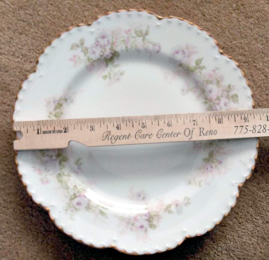 22313 Dinner Plate by Haviland-1