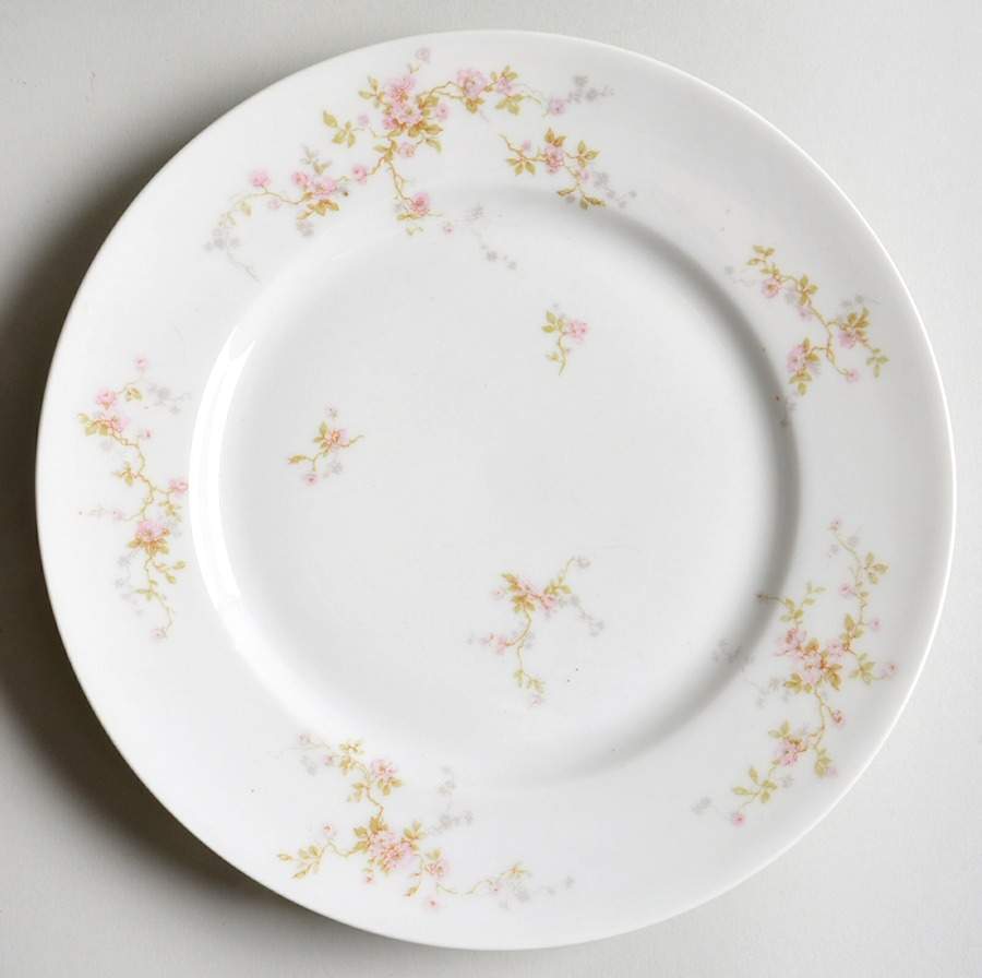 H5089 Dinner Plate by Haviland-1