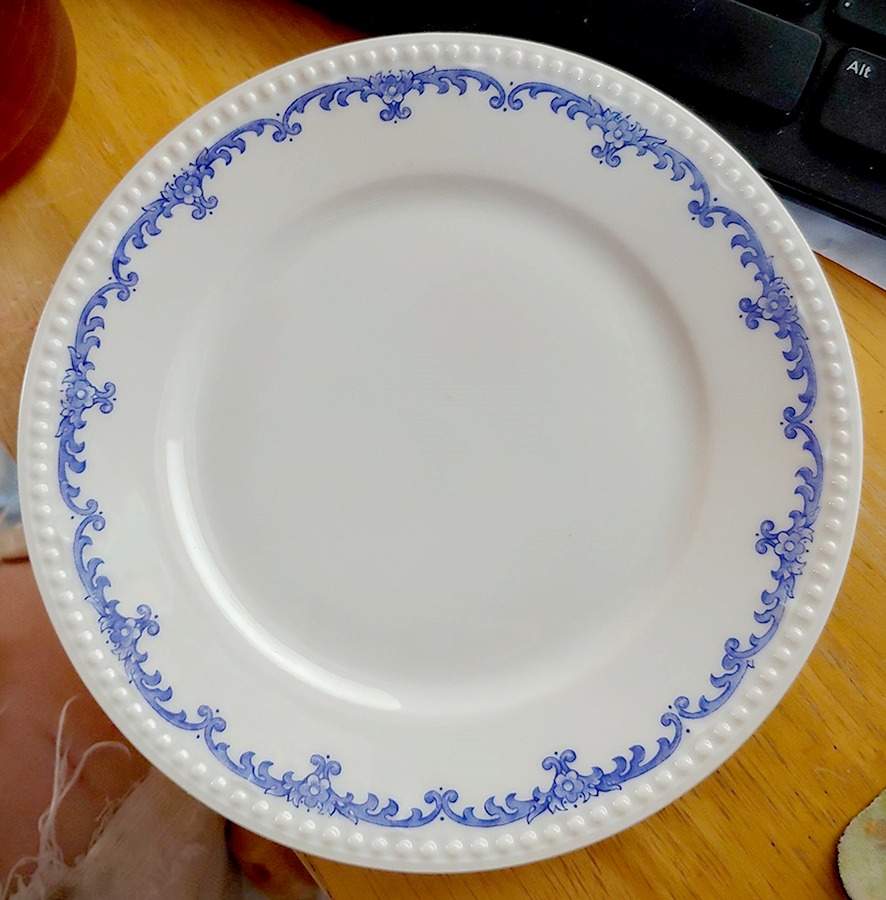 HUT3393 Dinner Plate by Hutschenreuther-1