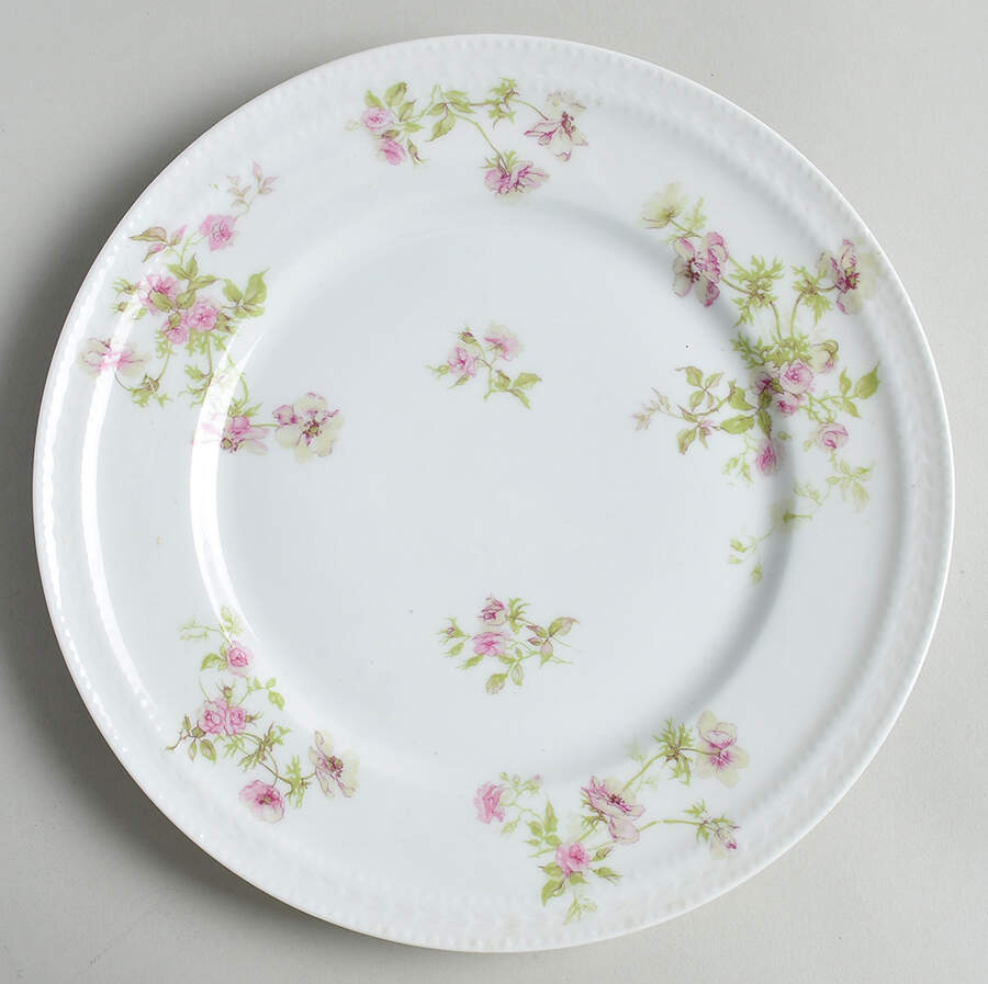 Schleiger 660-4 Dinner Plate by Haviland-1