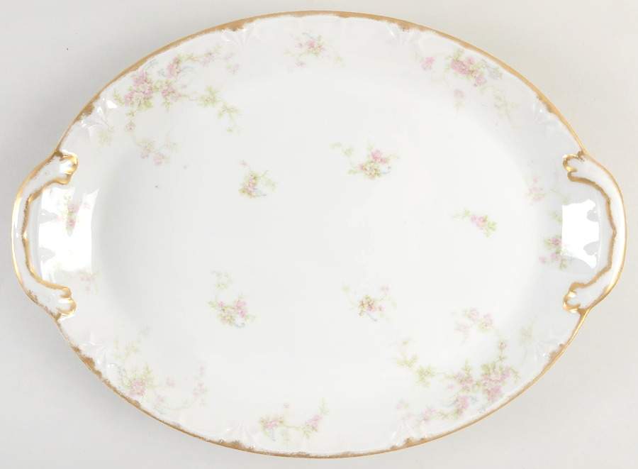 H5091 16" Oval Serving Platter by Haviland-1
